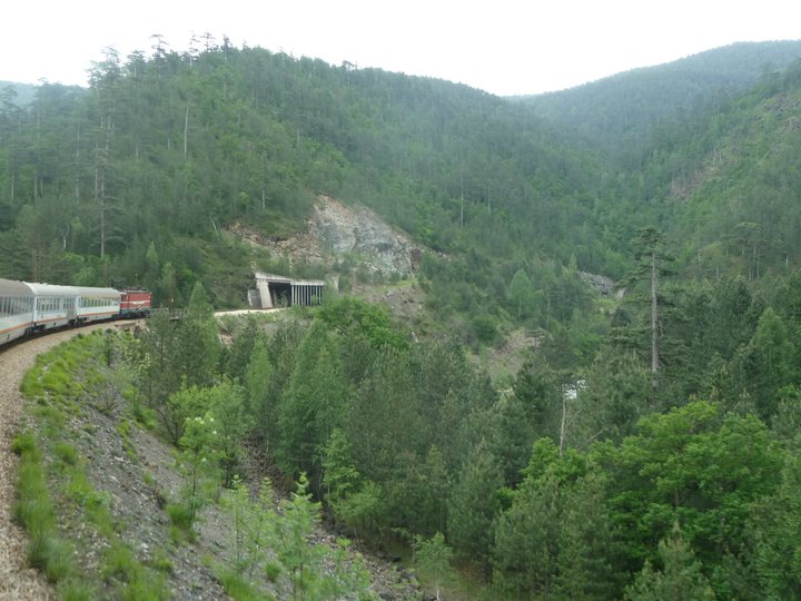 serbia montenegro train bar-belgrade railway