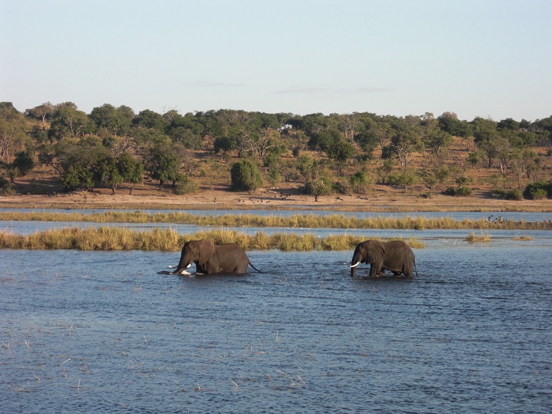 safari excursion