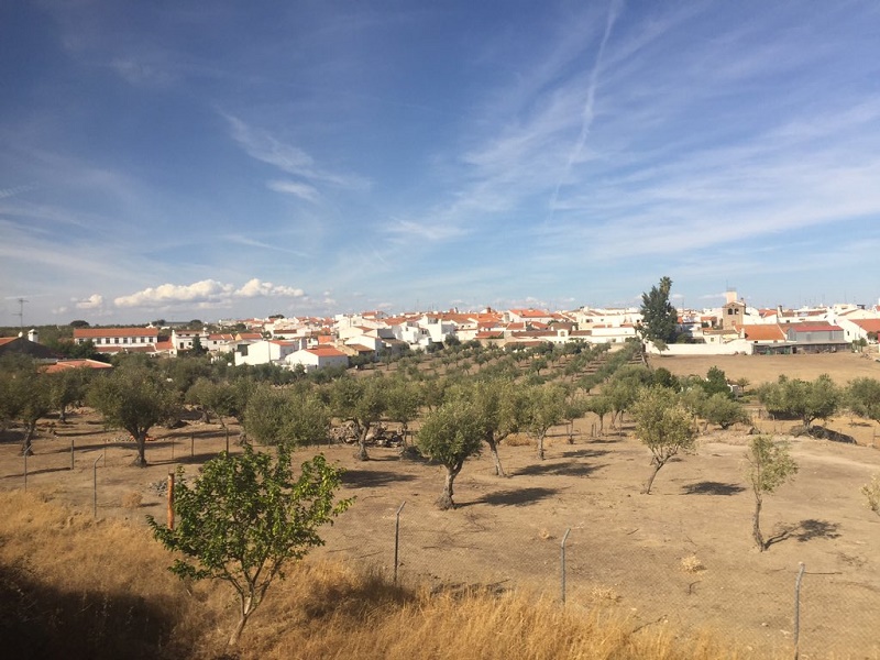 portugal train view